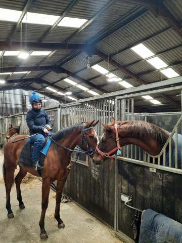 Introducing Allo Arry to our Roaring Lion filly